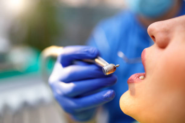 Professional  Holistic Dental Services in Westmere, NY